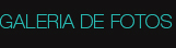 GALERIA DE FOTOS